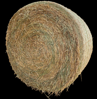 Purchase our Wheaten or Oaten round rolls direct from O'Driscoll Produce.