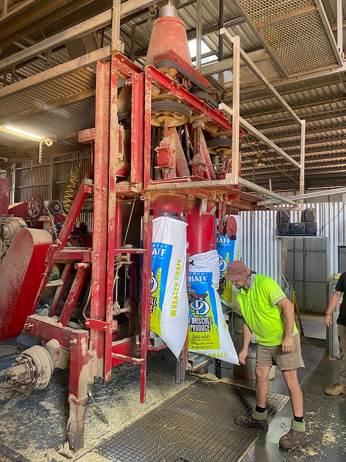 The O'Driscoll team watch as the bags are filled with Western Australian quality Lucern Chaff